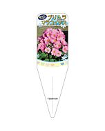 プリムラマラコイデス ピンク S 園芸用ラベル【115mm×34mm】100枚入