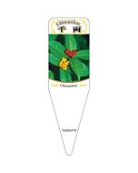 センリョウ （ミックス） S 園芸用ラベル【115mm×34mm】100枚入