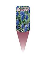 ムスカリ S 園芸用ラベル【115mm×34mm】100枚入
