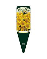 スピーシークロッカス Ｅ・PボーS 園芸用ラベル【115mm×34mm】100枚入