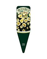 スピーシークロッカス クリームビS 園芸用ラベル【115mm×34mm】100枚入