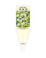 バコパ スノーフレークフイリ S 園芸用ラベル【115mm×34mm】100枚入