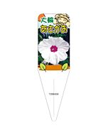 アサガオ （アカツキノヒカリ） S 園芸用ラベル【115mm×34mm】100枚入