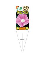 アサガオ （アカツキノナガレ） S 園芸用ラベル【115mm×34mm】100枚入