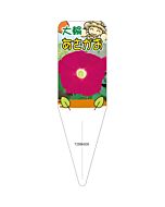 アサガオ （アカツキノベニ） S 園芸用ラベル【115mm×34mm】100枚入