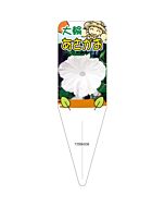 アサガオ （アカツキノユキ） S 園芸用ラベル【115mm×34mm】100枚入