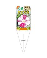 アサガオ （アカツキノマイ） S 園芸用ラベル【115mm×34mm】100枚入
