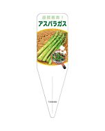 アスパラガス S 園芸用ラベル【115mm×34mm】100枚入