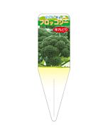 ブロッコリー ネンナイドリ S 園芸用ラベル【115mm×34mm】100枚入