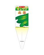キュウリ ホクシン イラスト S 園芸用ラベル【115mm×34mm】100枚入