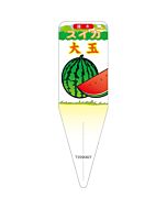 スイカ オオダマ イラスト S 園芸用ラベル【115mm×34mm】100枚入