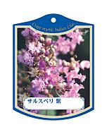 サルスベリ ムラサキ K 園芸用ラベル【105mm×80mm】100枚入