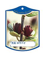 クロバナ ローバイ K 園芸用ラベル【105mm×80mm】100枚入