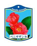 ベニサザンカ K 園芸用ラベル【105mm×80mm】100枚入