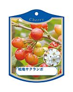 ダンチ サクランボ K 園芸用ラベル【105mm×80mm】100枚入