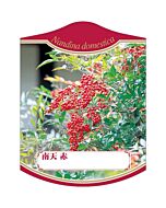 アカナンテン K 園芸用ラベル【105mm×80mm】100枚入