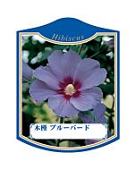 ムクゲブルーバード K 園芸用ラベル【105mm×80mm】100枚入