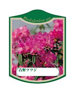 ヨシノツツジ K 園芸用ラベル【105mm×80mm】100枚入