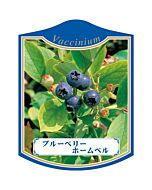 ブルーベリー ホームベル K 園芸用ラベル【105mm×80mm】100枚入
