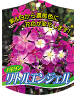 ノボタン リトルエンジェル K 園芸用ラベル