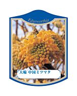 タイリン チュウゴクミツマタ K 園芸用ラベル【105mm×80mm】100枚入
