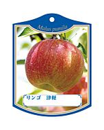 リンゴ ツガル K 園芸用ラベル【105mm×80mm】100枚入