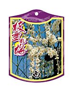 シダレウメ シロ 2005 K 園芸用ラベル【105mm×80mm】100枚入