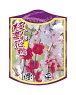 ハナモモ ゲンペイシダレ K 園芸用ラベル【105mm×80mm】100枚入