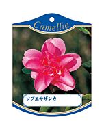 ソブエサザンカ K 園芸用ラベル【105mm×80mm】100枚入