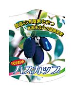 ハスカップ K 園芸用ラベル【105mm×80mm】100枚入