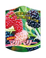 マルベリー K 園芸用ラベル【105mm×80mm】100枚入
