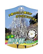 テルテモモ シロ K 園芸用ラベル【105mm×80mm】100枚入