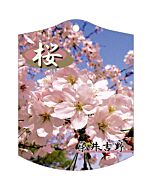 サクラ ソメイヨシノ K 園芸用ラベル【105mm×80mm】100枚入