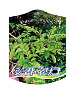 シマトネリコ 2005 K 園芸用ラベル【105mm×80mm】100枚入