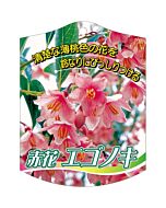 エゴノキ アカバナ 646 K 園芸用ラベル【105mm×80mm】100枚入