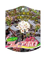 ディアボロ K 園芸用ラベル【105mm×80mm】100枚入