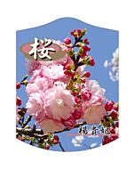ヨウキヒザクラ K 園芸用ラベル【105mm×80mm】100枚入