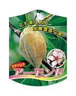アーモンド K 園芸用ラベル【105mm×80mm】100枚入