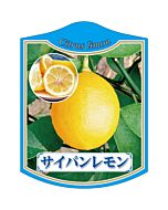 サイパンレモン K 園芸用ラベル【105mm×80mm】100枚入