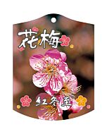 ウメ ベニトウジ K 園芸用ラベル【105mm×80mm】100枚入