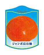 カキ ジャンボフユウ K 園芸用ラベル【105mm×80mm】100枚入