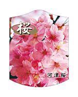 カワヅザクラ2006 K 園芸用ラベル【105mm×80mm】100枚入