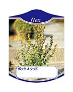 ボックスウッド K 園芸用ラベル【105mm×80mm】100枚入