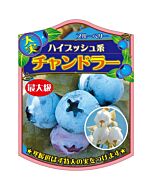 ブルーベリー チャンドラー K 園芸用ラベル【105mm×80mm】100枚入