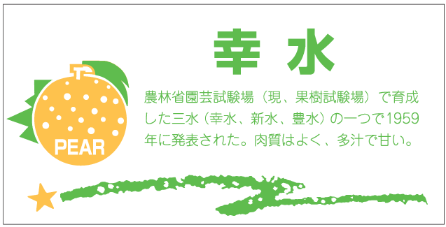 幸水 角 OR【80mm×40mm】300枚入 | POPシール | ラベル・シール