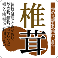 しいたけページ LLサイズの生シイタケ20個セット！！：三重県産のシイタケ