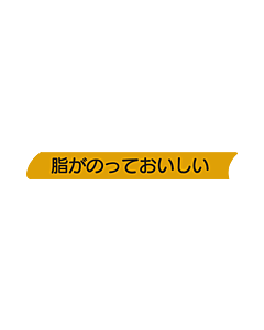 脂がのっておいし  PI