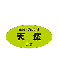 天然三カ国語  OR【25mm×50mm】300枚入