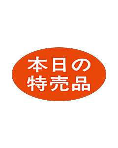 本日の特売品  RE