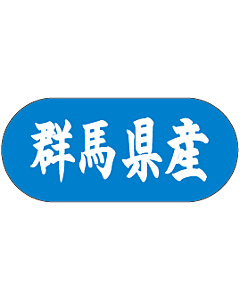 群馬県産トラック    GR